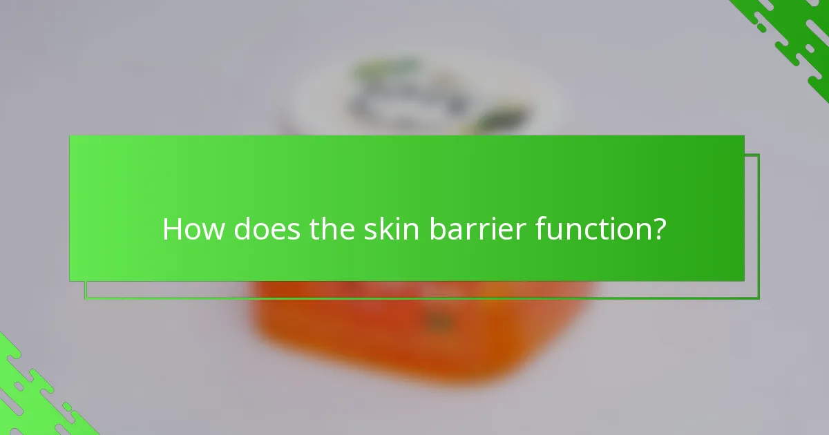How does the skin barrier function?