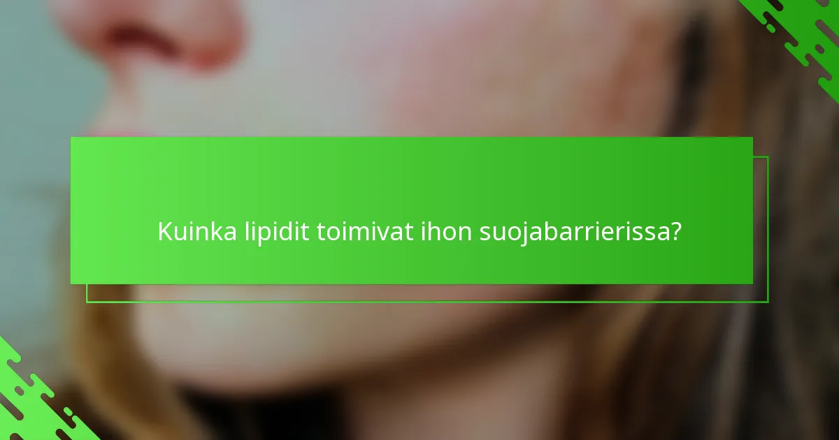 Kuinka lipidit toimivat ihon suojabarrierissa?